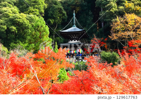 【京都府】永観堂の多宝塔と紅葉 129617763