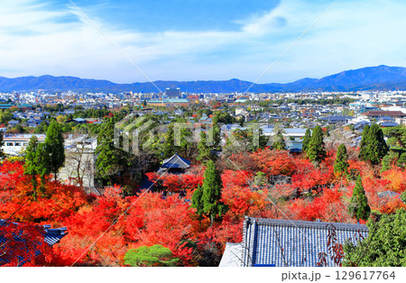 【京都府】晴天の永観堂の紅葉（多宝塔からの眺望） 129617764