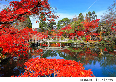 【京都府】永観堂の放生池の紅葉 【京都府】永観堂の放生池の紅葉 129617769