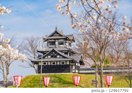 【新潟県】桜が咲いた高田城址公園 129617792