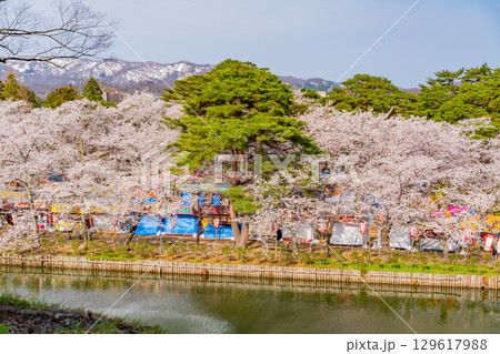 【新潟県】桜が咲いた高田城址公園のお堀 【新潟県】桜が咲いた高田城址公園のお堀 129617988