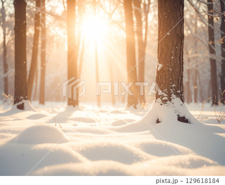 雪に覆われた森に広がる木漏れ日 129618184