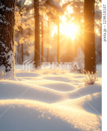 雪に覆われた森に広がる木漏れ日 雪に覆われた森に広がる木漏れ日 129618187