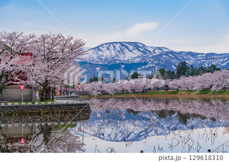 【新潟県】高田城址公園・お堀の桜と残雪の妙高山 129618310