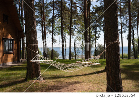 Tranquil forest retreat with hammock overlooking lake and trees Tranquil forest retreat with hammock overlooking lake and trees 129618354