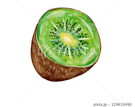 水彩絵の具で描いた大人かわいいキウイ 129618490