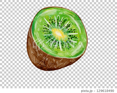 Cute and grown-up kiwi drawn with watercolors Cute and grown-up kiwi drawn with watercolors 129618490