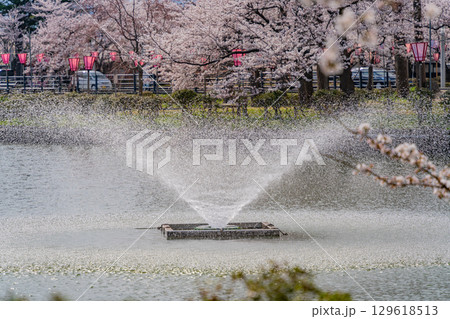【新潟県】高田城址公園・お堀の噴水と桜 129618513