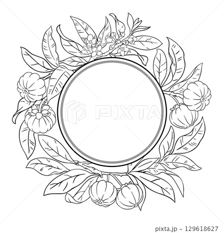 Garcinia Branch Outline Round Frame. 129618627