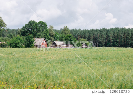 Rural landscape featuring old houses, a green field, and a lush forest in Masuria, Poland 129618720