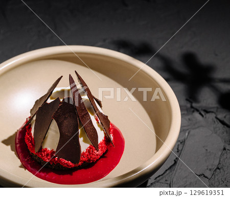 Elegant dessert with chocolate and berry sauce served in a minimalistic plate 129619351