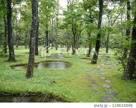 水庭(無垢の音)那須高原 水庭(無垢の音)那須高原 129619898
