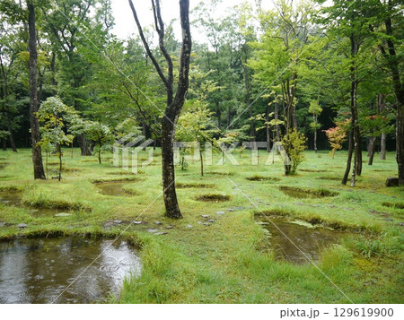 水庭(無垢の音)那須高原 水庭(無垢の音)那須高原 129619900