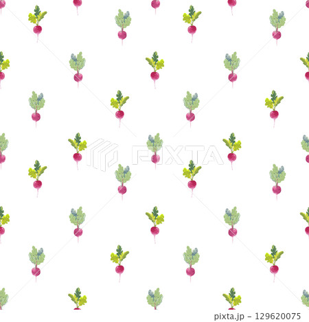 Seamless Radish Pattern, Cute Minimalist Kids Vegetable Design with Tiny Hand Painted Root Crops on White Background 129620075