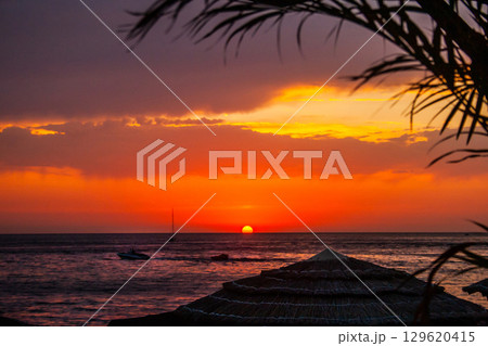 Beautiful sunset above sea. Palm tree and bungalow roof. Photo Wallpaper Beautiful sunset above sea. Palm tree and bungalow roof. Photo Wallpaper 129620415