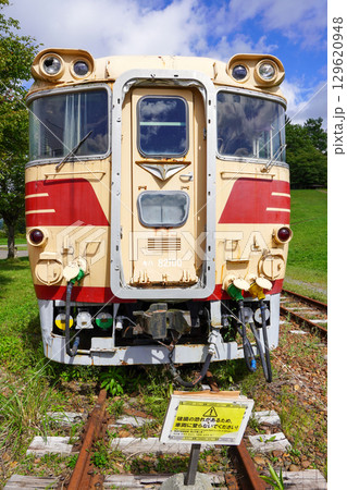 クロフォード公園のキハ82系気動車（2025年夏） 129620948