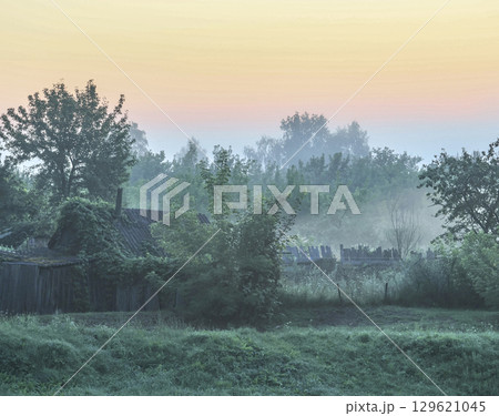 farm in the morning, wooden house, covered in ivy farm in the morning, wooden house, covered in ivy 129621045