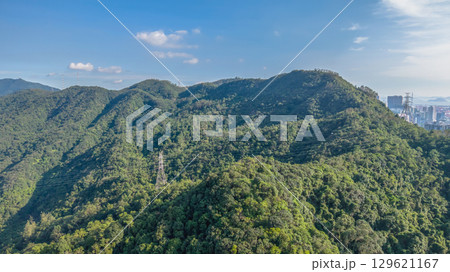 Aug 9 2025 the landsape of nature trails in Kam Shan 129621167