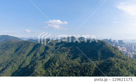 Aug 9 2025 the landsape of nature trails in Kam Shan 129621175