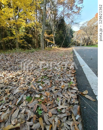 道端に振り積もった落ち葉 道端に振り積もった落ち葉 129621362