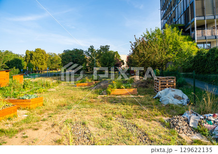 Urban community garden in Zizkov, Prague, Czech Republic. Sustainable green space with planting beds surrounded by modern apartment buildings in the heart of the city 129622135