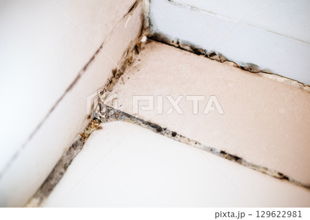 Mold Infestation in Bathroom Corner Mold Infestation in Bathroom Corner 129622981