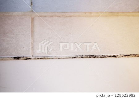 Moldy Bathroom Tile 129622982