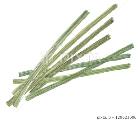 水彩で描いたレモングラス 129623006