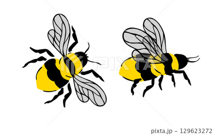 Cute Bee Vector, Bee Kids Vector, Honey Bee Vector, Bee Cartoon Image. hand drawn. Not AI, Vector illustration Cute Bee Vector, Bee Kids Vector, Honey Bee Vector, Bee Cartoon Image. hand drawn. Not AI, Vector illustration 129623272