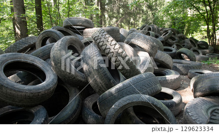 Discarded tires accumulate in a forested area, illustrating the serious issue of waste management and environmental pollution. The scene highlights the need for recycling initiatives. Discarded tires accumulate in a forested area, illustrating the serious issue of waste management and environmental pollution. The scene highlights the need for recycling initiatives. 129623334
