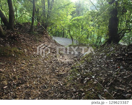 里山 里山 129623387