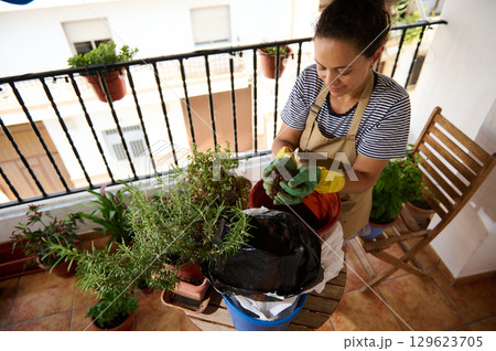 Woman Gardening on Balcony with Potted Plants and Greenery Woman Gardening on Balcony with Potted Plants and Greenery 129623705