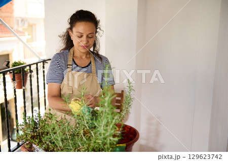 Woman Gardening on Balcony Among Potted Herbs and Plants Woman Gardening on Balcony Among Potted Herbs and Plants 129623742