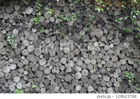 Close-up texture of grayish split logs with visible bark and deep cracks 129623788
