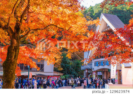 秋の高尾山 朝日が差し込む京王線清滝駅前 秋の高尾山 朝日が差し込む京王線清滝駅前 129623974