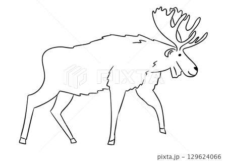 Moose with large antlers walking calmly, drawn in a simple doodle style 129624066