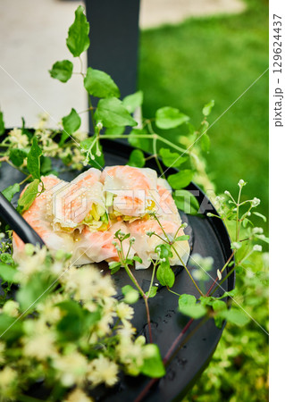 Fresh spring rolls served on a decorative tray surrounded by greenery in a vibrant outdoor setting Fresh spring rolls served on a decorative tray surrounded by greenery in a vibrant outdoor setting 129624437