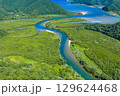 奄美大島 マングローブ原生林 - 鮮やかな真夏の木々と川の色の空撮 奄美大島 マングローブ原生林 - 鮮やかな真夏の木々と川の色の空撮 129624468