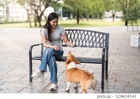 Woman rewarding corgi dog with treat in park 129624542