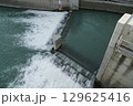 北海道平取町　二風谷ダムからの放流 129625416