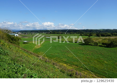 北海道新冠町　サラブレッド銀座の広大な風景 129625430