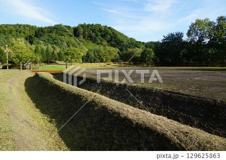 北海道平取町　ユオイチャシコツ 129625863