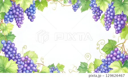 緑の葉とぶどうの水彩フレーム 129626467