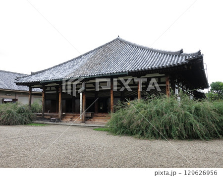 萩が咲く奈良市の元興寺（極楽堂／本堂） 129626956