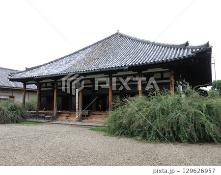萩が咲く奈良市の元興寺（極楽堂／本堂） 129626957