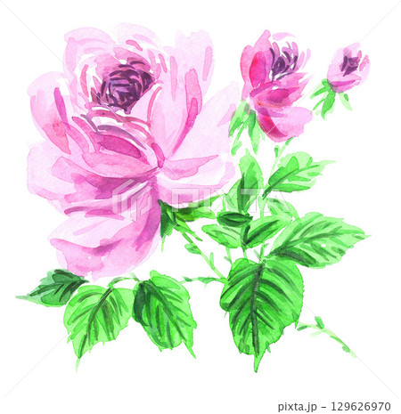 水彩で描いたピンクの薔薇25815pix7 水彩で描いたピンクの薔薇25815pix7 129626970
