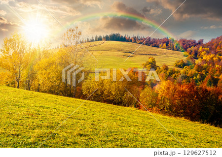 mountain landscape with forest in autumn at sunset. beautiful countryside in the highland. grove on the hill in colorful foliage under sky in evening light. nature background for outdoor adventure mountain landscape with forest in autumn at sunset. beautiful countryside in the highland. grove on the hill in colorful foliage under sky in evening light. nature background for outdoor adventure 129627512