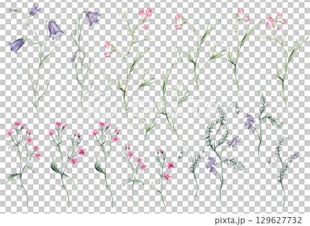 Watercolor set of little pink Flowers and purple wildflowers on a white background. Botanical illustration freehand drawing. Hand drawn illustration carnation with pencil strokes. Meadow flowers. 129627732