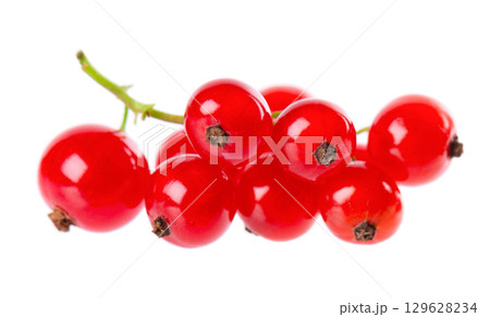 Red currant isolated on white background. Redcurrant or Ribes rubrum ripe berries. 129628234