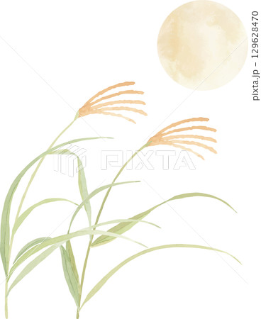 水彩で描いたお月見のイラスト素材 129628470
